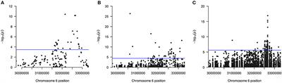 Type 1 Diabetes and the HLA Region: Genetic Association Besides Classical HLA Class II Genes